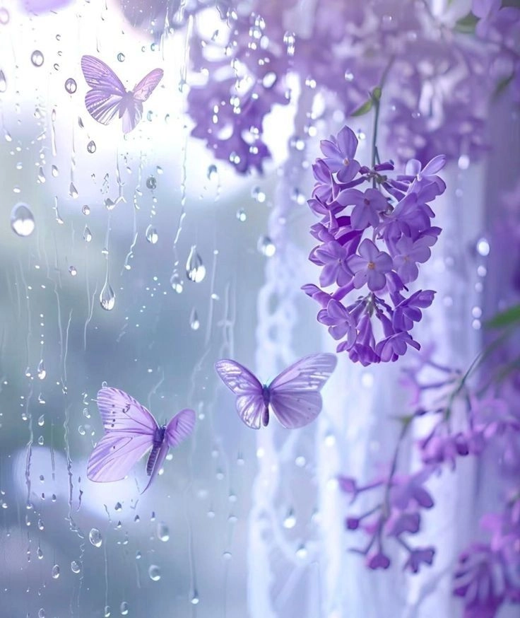 Chill nhẹ cùng hình nền cute tím dịu dàng và tinh tế