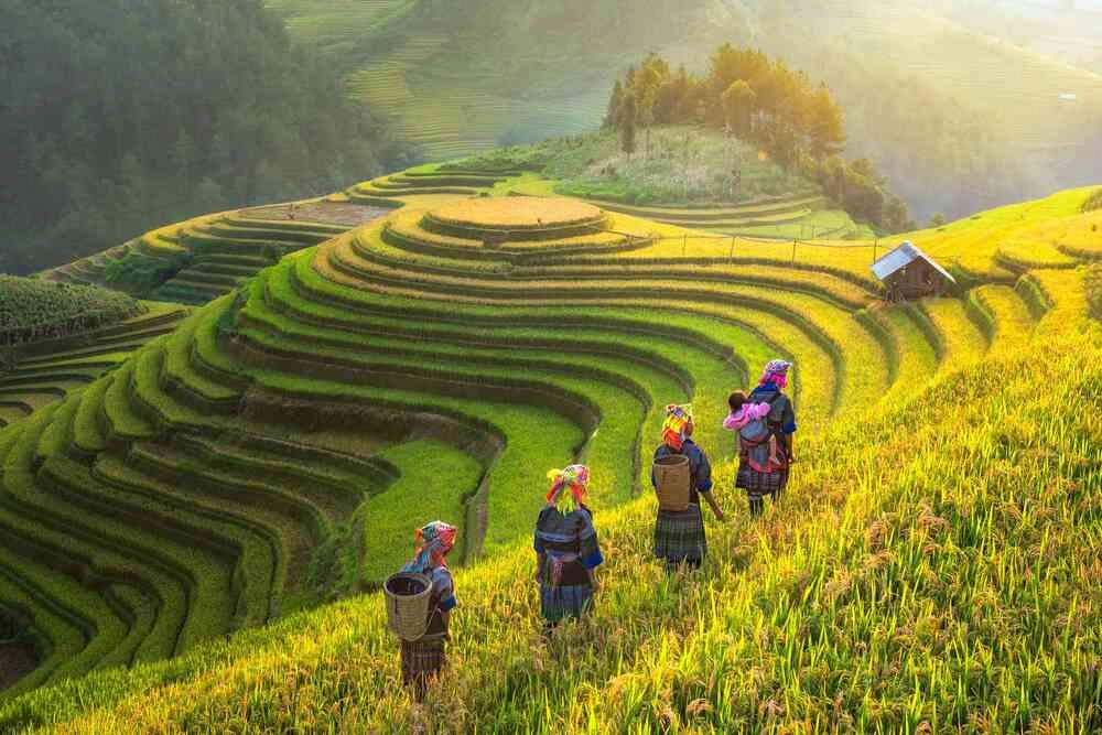 Sapa – Vùng cao tây bắc mê mẩn