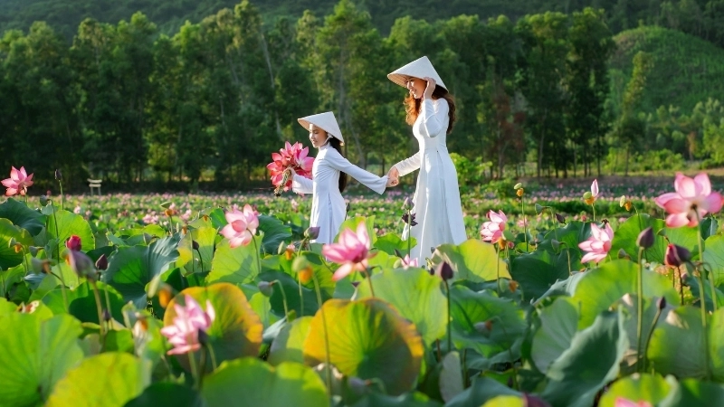  Cảnh núi non trong thơ Đường luật của văn học Việt Nam 