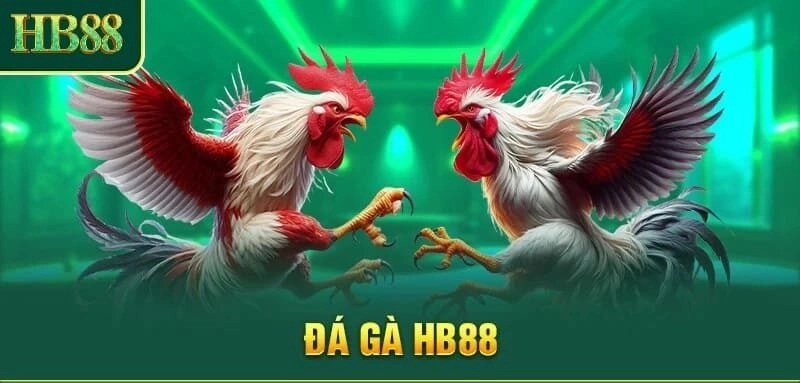 Tổng Quan Về Mục Đá Gà Tại HB88