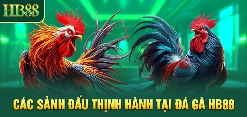 Cách Thức Đặt Cược Trong Trò Đá Gà