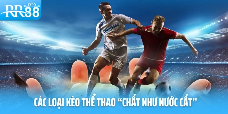 Hướng Dẫn Các Loại Kèo Châu Á Tại RR88