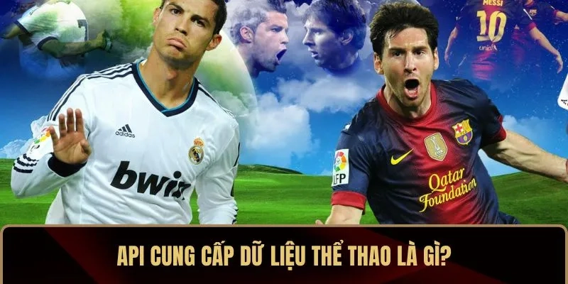 API cung cấp dữ liệu thể thao là gì?