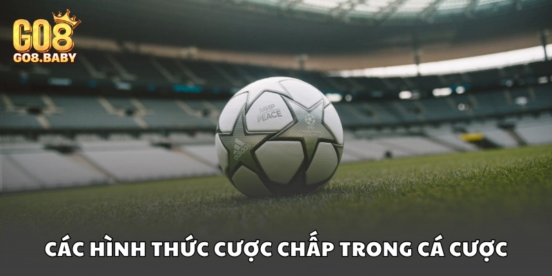 Bí quyết soi kèo chấp tại Go8 hiệu quả