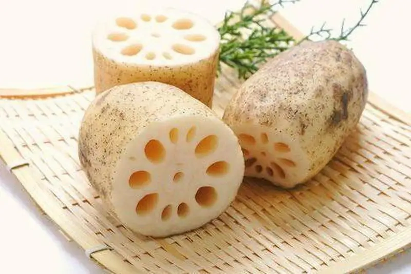 Kinh nghiệm trồng củ sen từ người đi trước