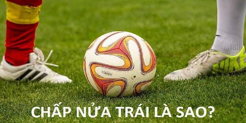 Cập nhật chi tiết về kèo Handicap 1/2 chi tiết tại 7M