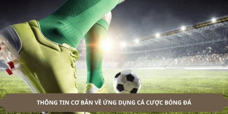 Đôi nét về ứng dụng cá cược bóng đá