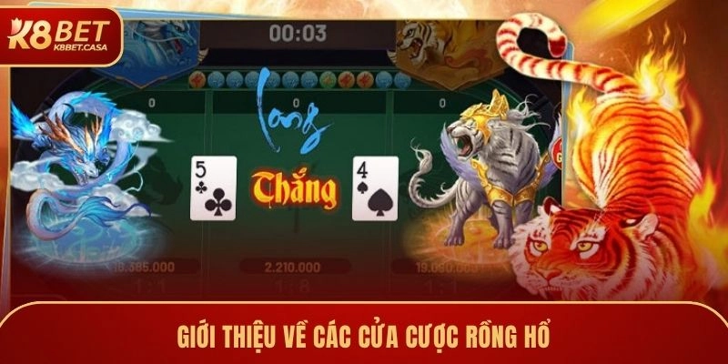Giới thiệu về các cửa cược Rồng Hổ
