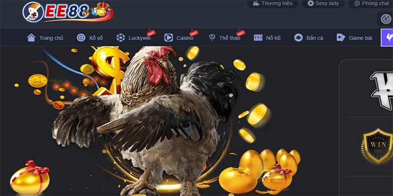 Giới thiệu về chuyên mục đá gà trên nền tảng EE88