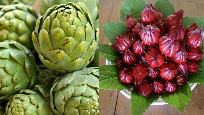 Cảnh sắc rực rỡ khi bông atiso nở đẹp