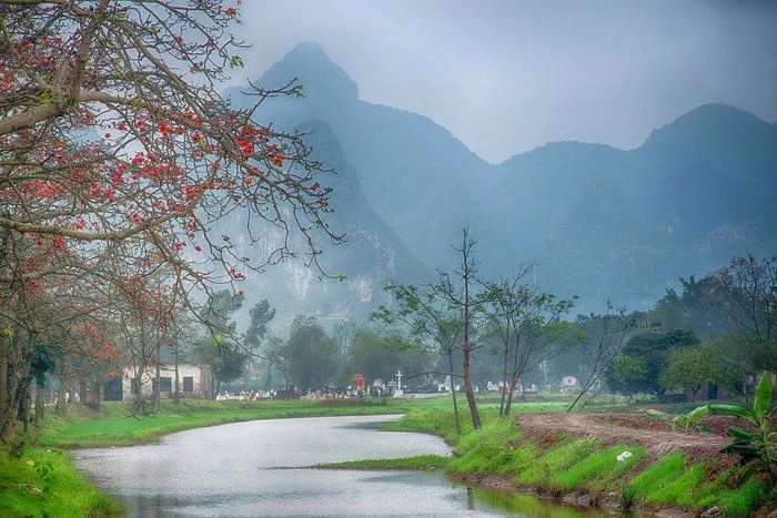 Hình ảnh dân dã quen thuộc của bông hoa gạo