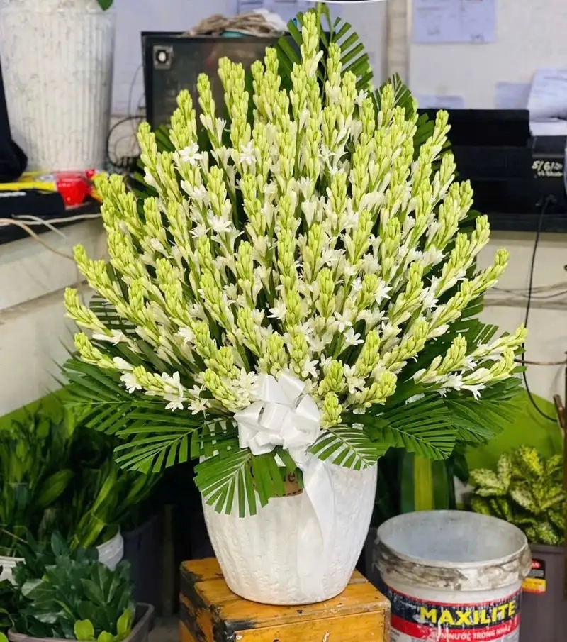 Tìm hiểu Hoa huệ trắng có mấy cánh đặc trưng đẹp