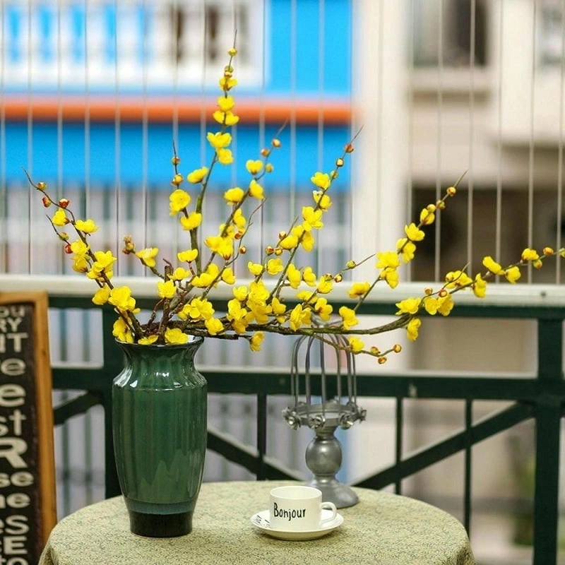 Ngắm sắc xuân dịu dàng qua hình cây mai đẹp