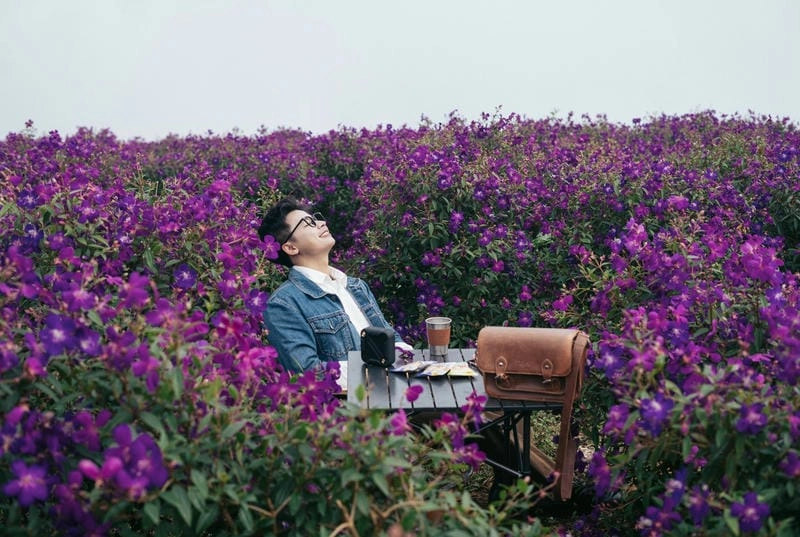 Khám phá bí ẩn về ý nghĩa của hoa sim trong đời sống