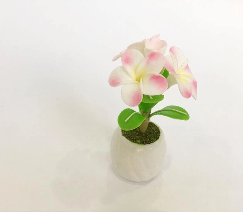 Sự thanh cao được thể hiện ở ý nghĩa hoa sứ trắng tinh khôi