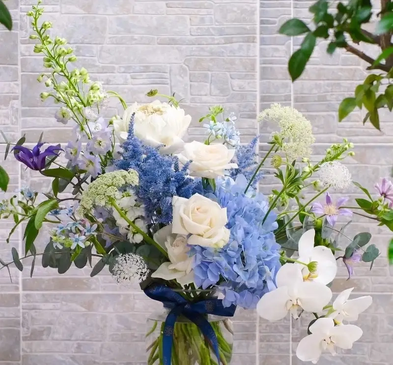 Nhiệt độ trồng hoa tú cầu mini thích hợp quanh năm