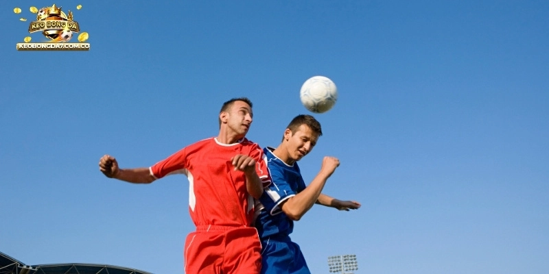 Hiểu rõ cách đọc tỷ lệ kèo giúp người chơi dự đoán chính xác hơn