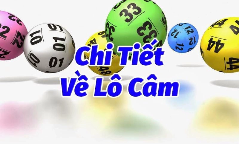 Cách phân tích lô câm để chọn số chính xác