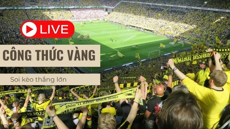  Đặt cược live trên Hitclub, nắm bắt thời điểm vàng.