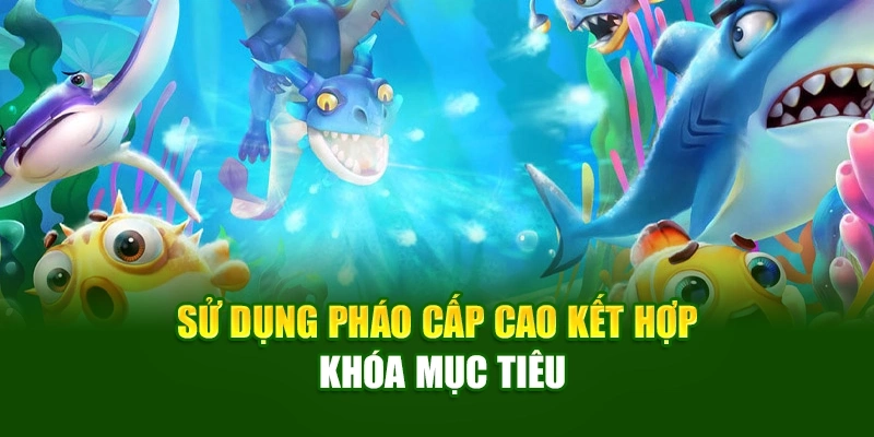 Sử dụng pháo cấp cao kết hợp khóa mục tiêu