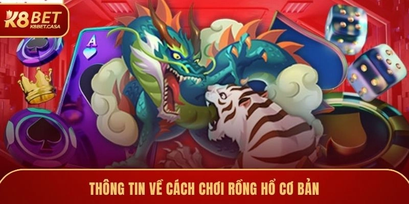 Thông tin về cách chơi rồng hổ cơ bản