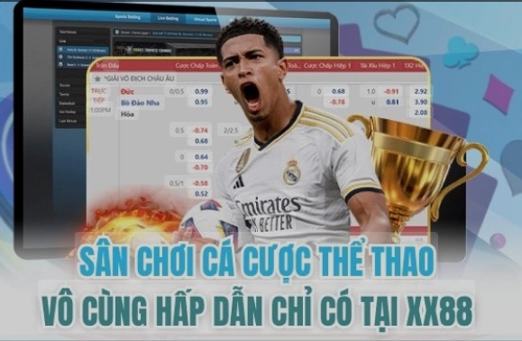 Bảng tỷ lệ linh hoạt giúp quyết định gọn