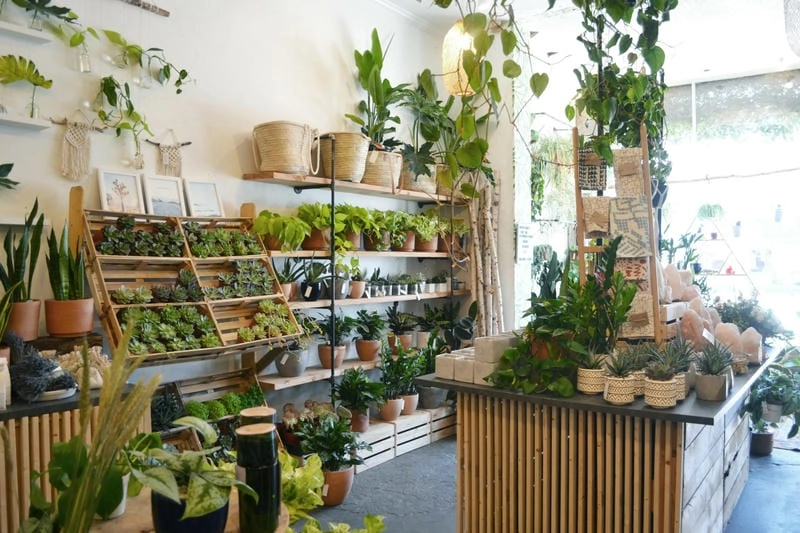 Ý tưởng cách trang trí cửa hàng hoa tươi ấn tượng và thu hút