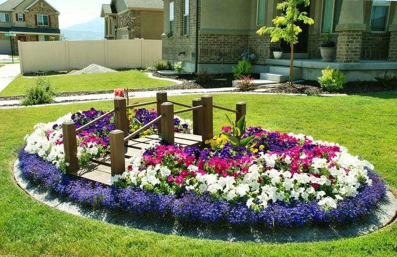 Ý tưởng cách trang trí vườn cây mini tiện lợi