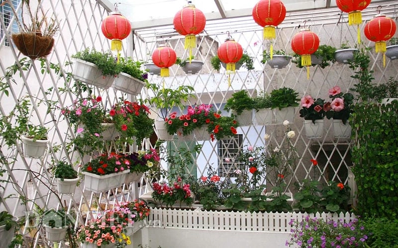 Cách bố trí sân vườn đẹp mang lại không gian xanh