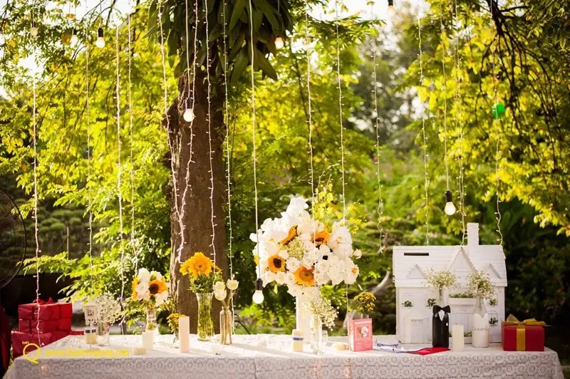 Lung linh với đèn trang trí tiệc ngoài trời