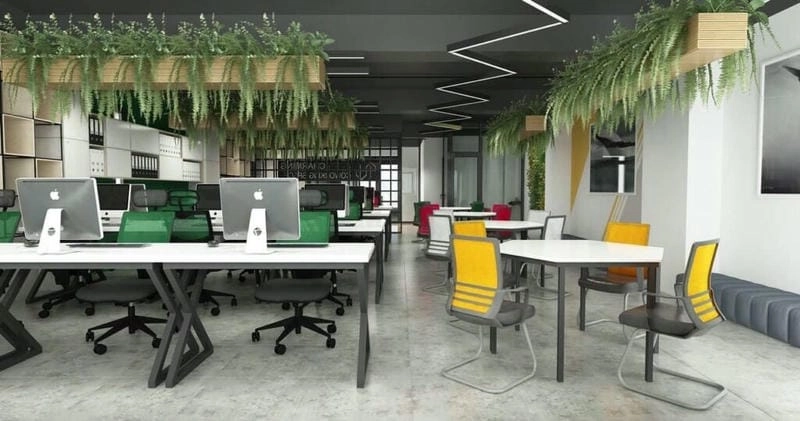 Cách trang trí văn phòng đẹp gây ấn tượng chuyên nghiệp