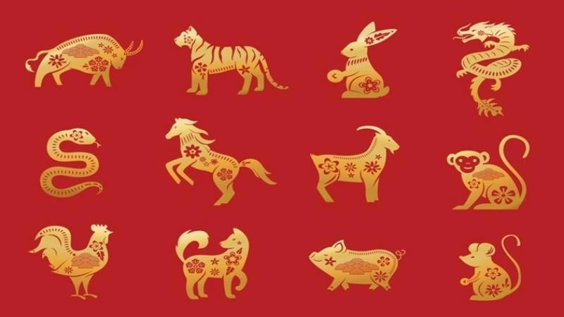 Tử Vi 12 Con Giáp Hôm Nay: Xu Hướng Vận Mệnh Và Cơ Hội Năm 2025