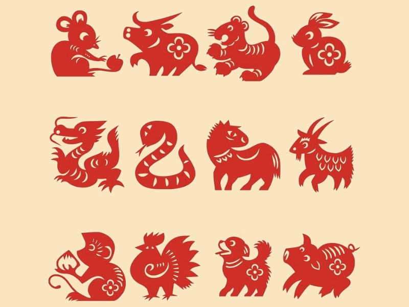 Dự Báo Tử Vi 12 Con Giáp Hôm Nay Chi Tiết Cho Từng Tuổi