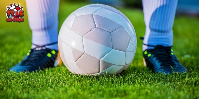 Lưu lịch sử cược để rút ra kinh nghiệm tỷ lệ hiệu quả