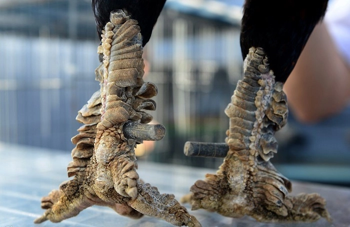 Mẹo Chơi Trên ABC8 Để Thắng Liền Tay Với Chiến Thuật Này 