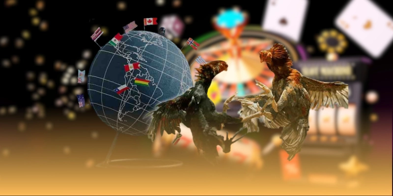 Tổng quan về kèo đá gà Thomo tại SV368