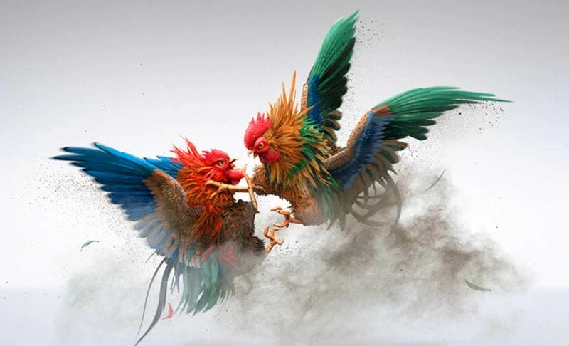 Xem xét tốc độ và linh hoạt khi di chuyển