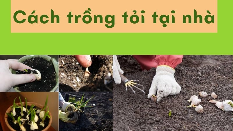 Những thứ cần chuẩn bị ban đầu