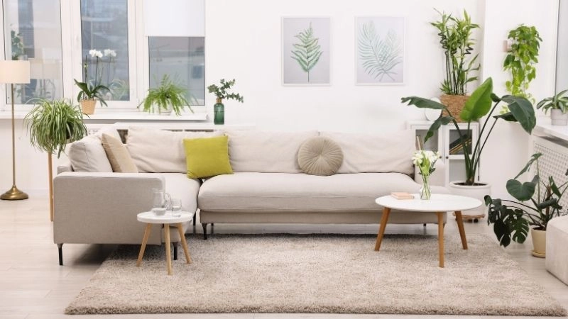 Bảng chọn cây phong thủy theo mệnh để trừ tà