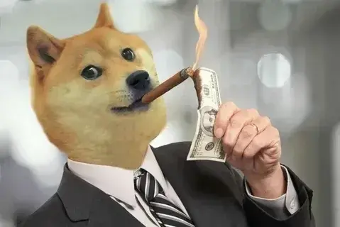 Khám phá bộ ảnh chó meme hài gây cười cho cộng đồng mạng