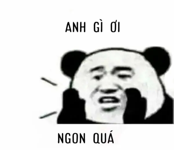 Gấu trúc meme và những hình ảnh hài hước gây sốt