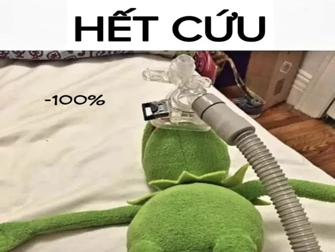 Hết cứu meme hài hước khiến bạn không thể nhịn cười