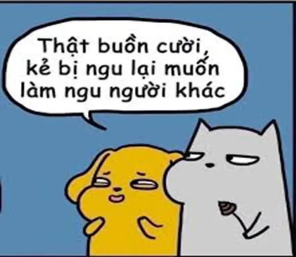 Những meme ngu hài hước khiến bạn cười không ngừng