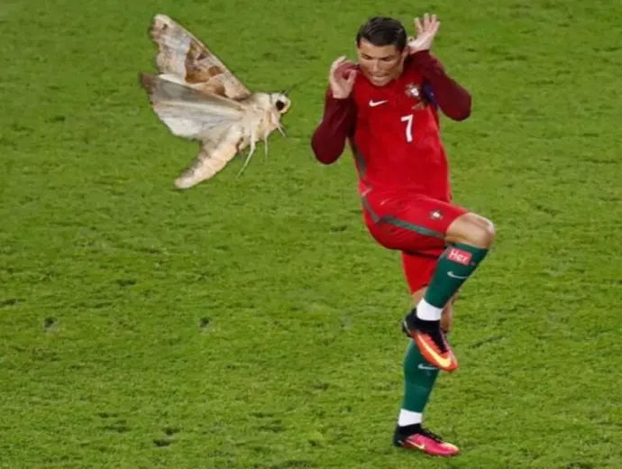 Ronaldo siu meme cười ngất với pha ăn mừng huyền thoại