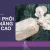 Trồng nấm bào ngư tại nhà- Tôi đã thu hoạch mỏi tay thế nào?