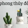 Cây phong thủy để bàn giúp xua đuổi năng lượng xấu