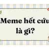1544+ Tổng hợp meme hết cứu biểu cảm cực kỳ khó đỡ 2026