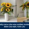 Bí quyết cắm hoa hướng dương đẹp hút hồn cho không gian thêm rạng rỡ