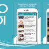 Bí quyết trồng cây đinh lăng trong chậu cho dáng đẹp, củ khỏe
