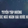 BST Meme Chúc Ngủ Ngon Siêu Cute và Hài Hước Nhất 2026